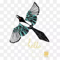 欧亚喜鹊美洲鸟艺术：用石墨和彩色铅笔插图飞行的鸟
