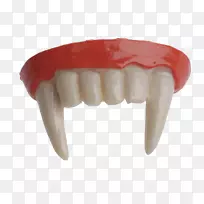 吸血牙病态义齿-塑料牙