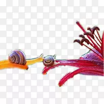 图形设计-花卉蜗牛