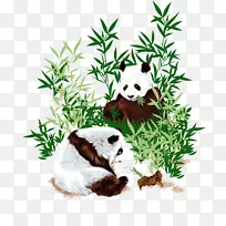 菜熊猫西餐厅大熊猫竹-美丽的手绘熊猫图案