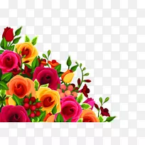 玫瑰下载花框彩花装饰边