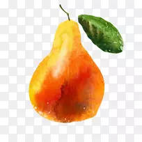 梨xd 7 bretschneideri标志水果插图-油漆梨