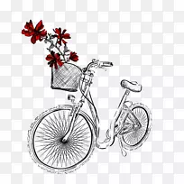 自行车车轮沙滩玫瑰插图手绘玫瑰自行车