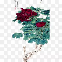 花园玫瑰、蜈蚣玫瑰、花卉设计、切花-牡丹
