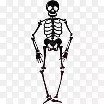骨骼剪贴画-akimbo的骨骼