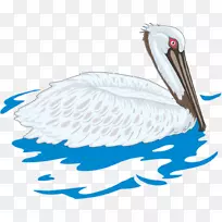 雪尼尼鸟夹艺术-画天鹅