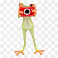 树蛙贴纸疯狂青蛙-3D青蛙