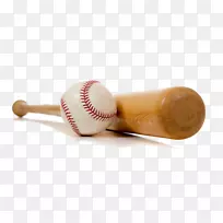 棒球球棒贝灵汉铃铛和帕索吉娃娃智力智商-体育器材