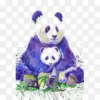 大熊猫t恤水彩画艺术家换卡-卡通熊猫