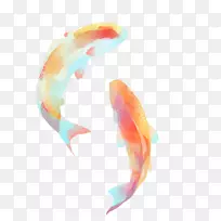 锦鲤水彩画鱼夹艺术画双鱼座图案