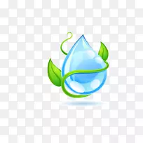 滴水钻孔水信息-绿叶水滴