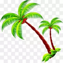 椰子树枝-椰子树