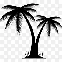 槟榔科树木剪贴画-棕榈滩