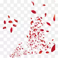 Adobe插画-浪漫的红色花瓣飘落