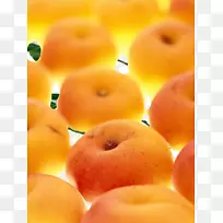杏黄果杏