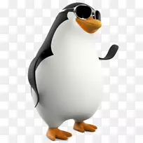 企鹅展示解析度剪贴画-戴太阳镜的企鹅