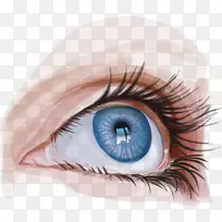 googly眼睛虹膜手绘眼睛