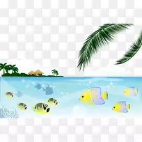 锦鲤河豚捕捞.卡通鱼涂有海角棕榈岛