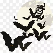 万圣节-月亮下蝙蝠