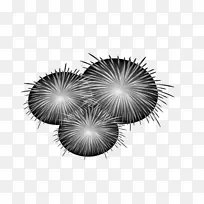 黑白花纹-烟花爆竹