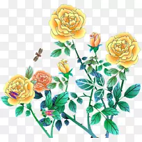 花园玫瑰、蜈蚣玫瑰、沙滩玫瑰、剪贴画-牡丹