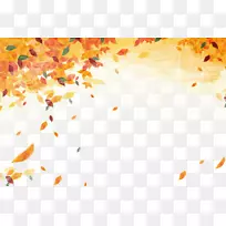 秋叶颜色-秋叶材料