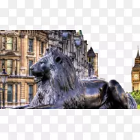 英国威斯敏斯特白金汉宫-伦敦特拉法加广场大厦-外国建筑和狮子雕塑