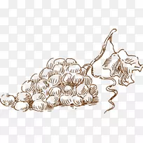 葡萄图标-素描葡萄