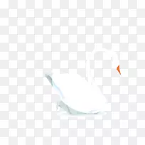 图案白色折纸艺术天鹅