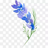 花卉设计花卉水彩画.透明背景花卉植物水彩画