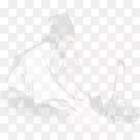 白黑色中药