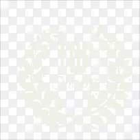 姓氏google图像-橄榄枝