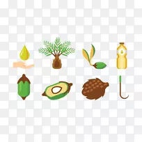 果实槟榔科棕榈油插图-橄榄油提取植物健康