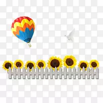 普通向日葵菊花-向日葵热气球装饰材料