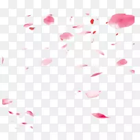 花瓣粉红色下载-飘动的樱花花瓣设计元素