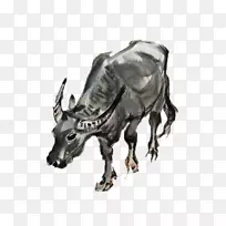 牛黄道牛手画的大牛