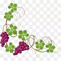 普通葡萄叶剪贴艺术手绘紫色葡萄