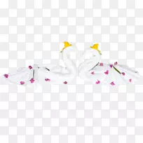花瓣图案-水晶天鹅