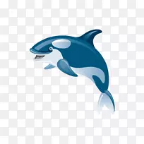 鲨鱼常见的宽吻海豚图标跳跃卡通鲨鱼