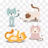 猫繁殖小猫宠物-4可爱宠物猫载体
