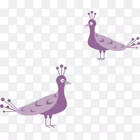 孔雀鸟图.手绘紫色孔雀