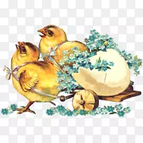 复活节彩蛋节假日剪贴簿-小鸡