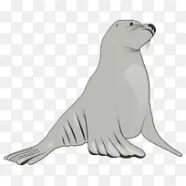 海狮剪贴画.灰色海狮