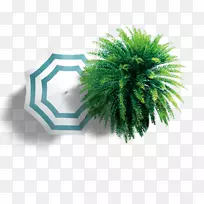 Adobe插画模板免费-阳伞图案植物