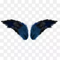 羽毛翼-蓝色翅膀