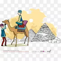 骆驼摄影插图.金字塔