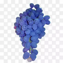 普通葡萄果实-紫葡萄