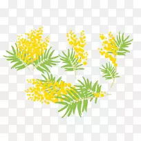 米莫萨·普迪加·剪贴画手绘含羞草海报装饰品