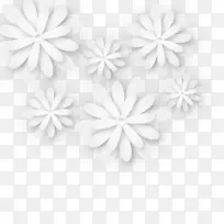 黑白花瓣普通雏菊三维白花