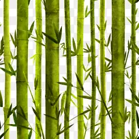 古竹海报图案设计-手绘竹子